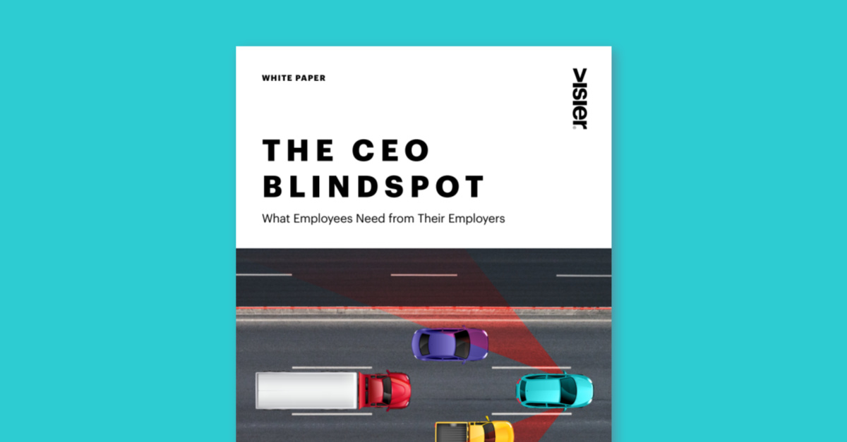 ceo-blindspot